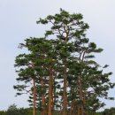 풍경화원 - 홍성군 조양로 161 | 풍경화원