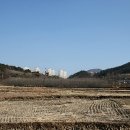 웅천 오충사 이미지