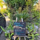 서각교실 | 남해 버드하우스캠핑장 명당자리 후박4 사이트 이용후기