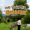 에덴농장 | 이천 동키스타즈 당나귀 산책하고 빗질할 수 있는 체험 농장 내돈내산 솔직후기