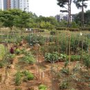 표씨농장 이미지