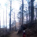 노고지리산방