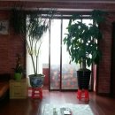 참좋은민박 이미지