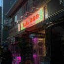 삼성동 타코 맛집 &lt;엘에이도그&amp;부리또&gt; 솔직 후기