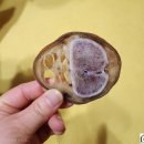 멍멍하누 이미지