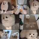 르라움 이미지