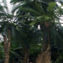 청산정원 이미지