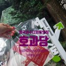 호디자인 | bts 정국 맛집 성수동 3대 디저트 맛집 호과당 포장 후기