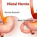 유동물병원 이미지