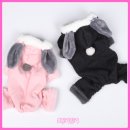 밍키애견 이미지