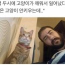 깨움 이미지