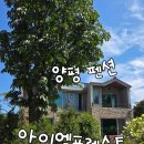아이엠포레스트