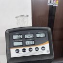 동광로7길 20 | 2025 짱더운 여름 제주도 여행 🏞️