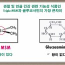 왜? 글루코사민이 시장에서 갑자기 사라졌을까?? 이미지