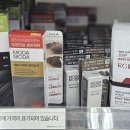 다이소 모다모다 물염색 새치염색 사용후기 2주 후 변화는