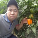 누나농장 이미지