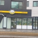 파주고양이미용 반하나캣 | 파주 고양이분양&amp;미용 반하나캣에서 분양하고 만족한 후기!