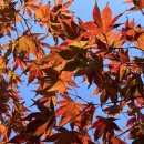 동두천요양원(정신요양시설) 이미지