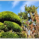 백동경로당 이미지