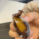 모찌이야기 본점