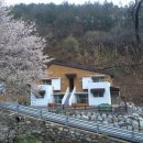 독용산성자연휴양림 이미지