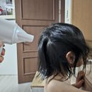 모터박스 | 오아 에어리라이트 드라이기 &#34;초고속 BLDC모터·풍속·온도 조절&#34; 사용 후기