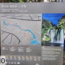 제주 천지연 난대림 이미지