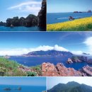 홍도당구장 이미지