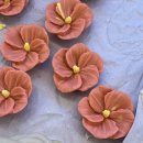 지글지글보글보글 이미지