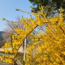 공설운동장길(공설운동장) 이미지