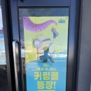 제주생맥주 | 비에이치씨 bhc치킨 탑동점 커링클 뿌링치즈볼 분모자로제떡볶이 생맥주 먹은 후기