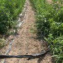 남곡농장 이미지