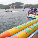 캠프통포레스트 이미지