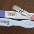 32.배방역A(행정) | 보건소 임산부등록 | 무료 검사 방법과 주차별 주요 검사표