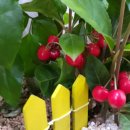 금영공인중개사사무소 이미지