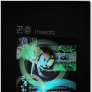 레스토리 이미지