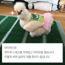 우리집치킨 - 미추홀구 인주대로291번길 13 | 우리집치킨