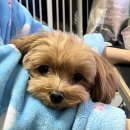 인타임PC방 이미지