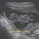 251220. 묵상글 ( 12월 20일. - 영적인 식단 조정 . 등 ) 이미지