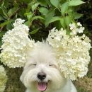 요가;그리고필라테스 - 강릉시 노암등길 10 | 요가;그리고필라테스