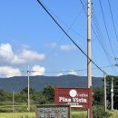 대천통나무소나무펜션 | 대천 가성비 좋은 가족 숙소, 솔안집 내돈내산 후기