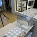 복순도가 울산역점 | 복순도가 찹쌀탁주 12도 내돈내산 솔직후기, 파는곳, 오프라인 매장
