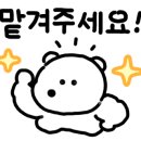 광안초등학교 이미지