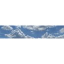 송윤숙상생약발 이미지