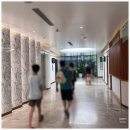하노이 고급 병원 이용 후기 (한국어 지원 가능) – 홍응옥 병원 / Hong Ngoc Hospiltal
