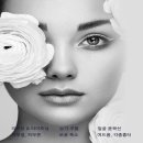 디피엘 이미지