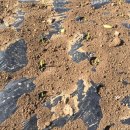 만산농장 이미지