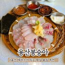 용산역 테라스가 있는 야장 횟집 술집 용산봉숭아 룸 예약 이용후기