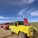 (주)국제여행사 이미지