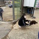 BK승마랜드 이미지